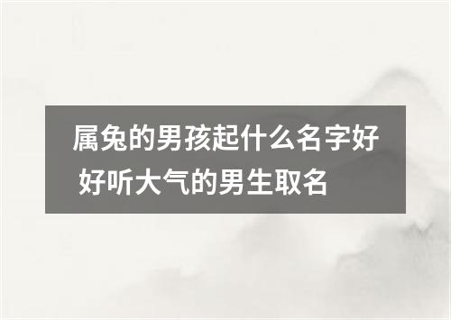 属兔的男孩起什么名字好 好听大气的男生取名