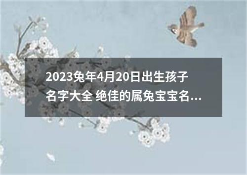 2023兔年4月20日出生孩子名字大全 绝佳的属兔宝宝名字大全