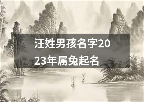 汪姓男孩名字2023年属兔起名