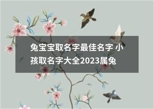 兔宝宝取名字最佳名字 小孩取名字大全2023属兔