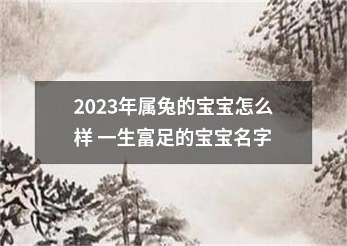 2023年属兔的宝宝怎么样 一生富足的宝宝名字