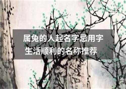 属兔的人起名字忌用字 生活顺利的名称推荐