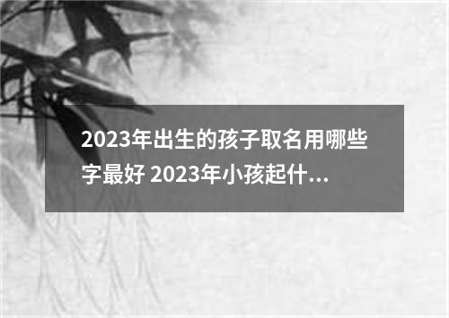 2023年出生的孩子取名用哪些字最好 2023年小孩起什么名字好
