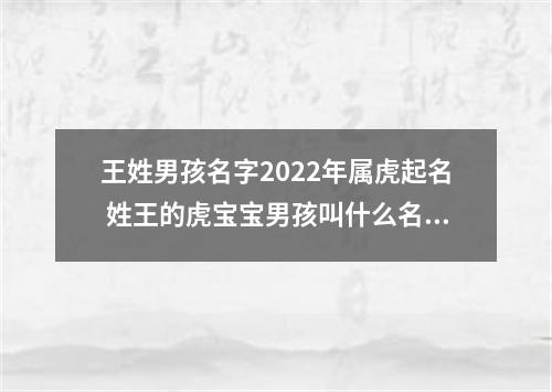 王姓男孩名字2022年属虎起名 姓王的虎宝宝男孩叫什么名字好