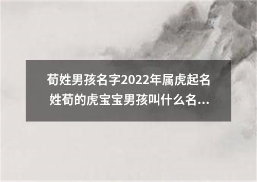 荀姓男孩名字2022年属虎起名 姓荀的虎宝宝男孩叫什么名字好