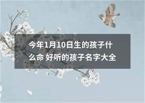 今年1月10日生的孩子什么命 好听的孩子名字大全