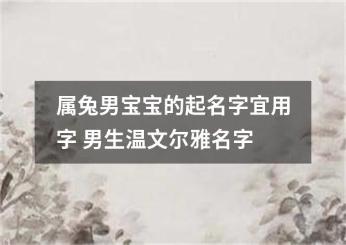 属兔男宝宝的起名字宜用字 男生温文尔雅名字