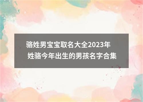 骆姓男宝宝取名大全2023年 姓骆今年出生的男孩名字合集