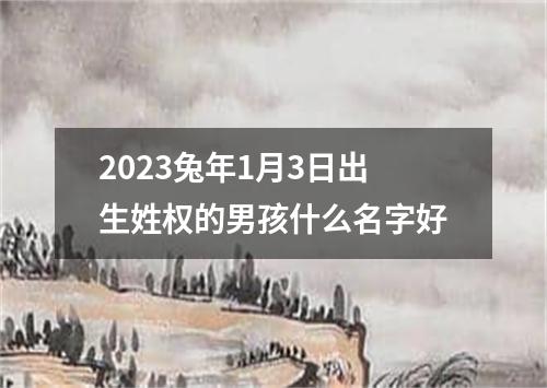 2023兔年1月3日出生姓权的男孩什么名字好