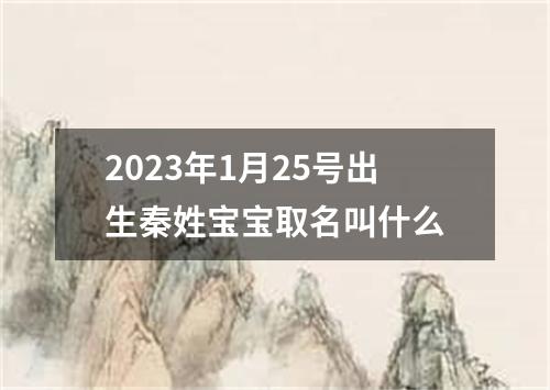 2023年1月25号出生秦姓宝宝取名叫什么