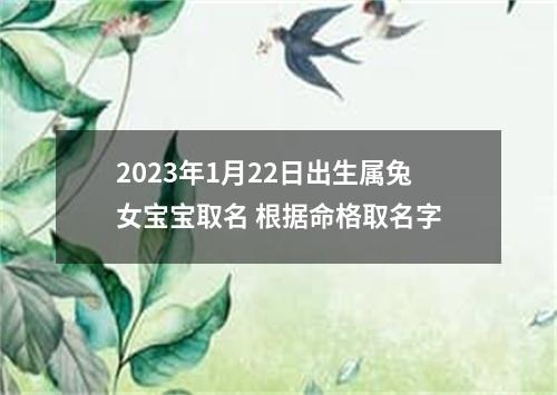 2023年1月22日出生属兔女宝宝取名 根据命格取名字