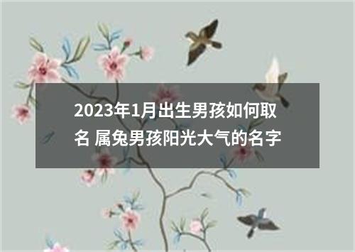 2023年1月出生男孩如何取名 属兔男孩阳光大气的名字