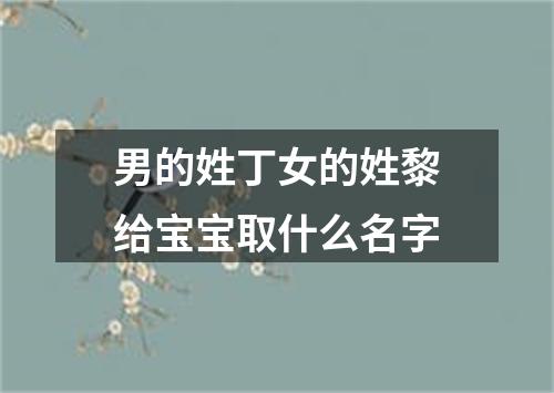 男的姓丁女的姓黎给宝宝取什么名字