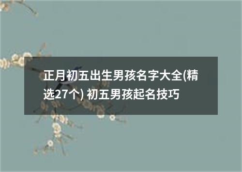 正月初五出生男孩名字大全(精选27个) 初五男孩起名技巧