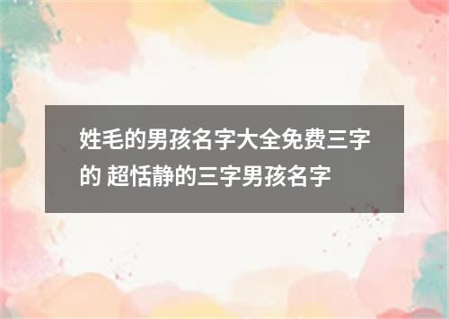 姓毛的男孩名字大全免费三字的 超恬静的三字男孩名字