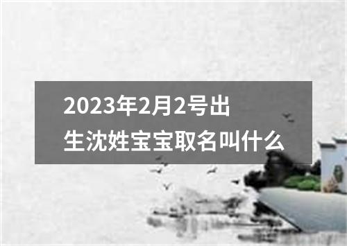 2023年2月2号出生沈姓宝宝取名叫什么