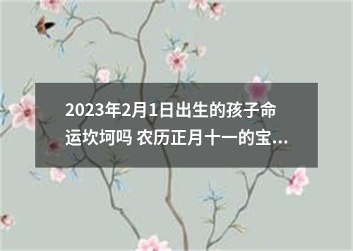 2023年2月1日出生的孩子命运坎坷吗 农历正月十一的宝宝八字起名字
