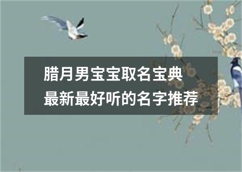 腊月男宝宝取名宝典 最新最好听的名字推荐