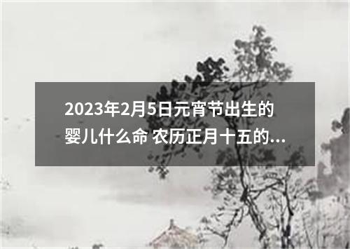 2023年2月5日元宵节出生的婴儿什么命 农历正月十五的宝宝八字起名