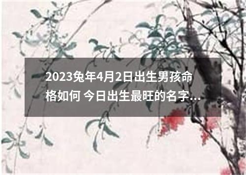 2023兔年4月2日出生男孩命格如何 今日出生最旺的名字推荐