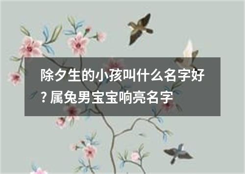 除夕生的小孩叫什么名字好? 属兔男宝宝响亮名字