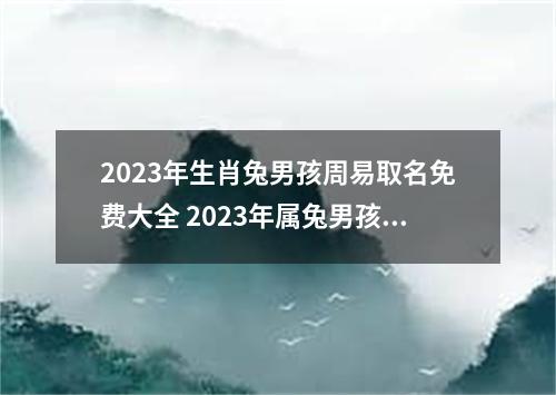 2023年生肖兔男孩周易取名免费大全 2023年属兔男孩最旺的字