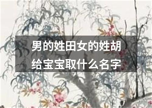 男的姓田女的姓胡给宝宝取什么名字