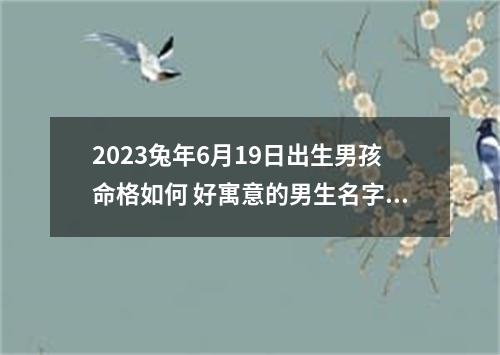 2023兔年6月19日出生男孩命格如何 好寓意的男生名字带解析