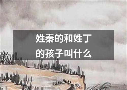 姓秦的和姓丁的孩子叫什么