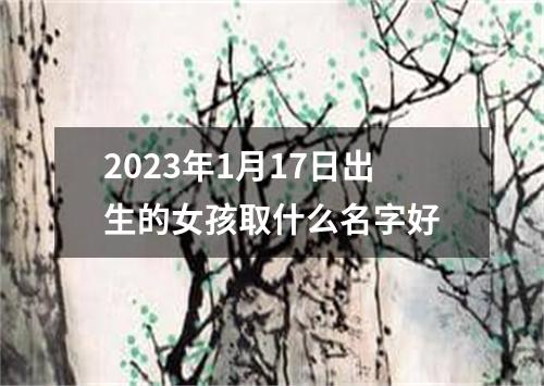 2023年1月17日出生的女孩取什么名字好