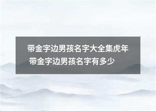 带金字边男孩名字大全集虎年 带金字边男孩名字有多少