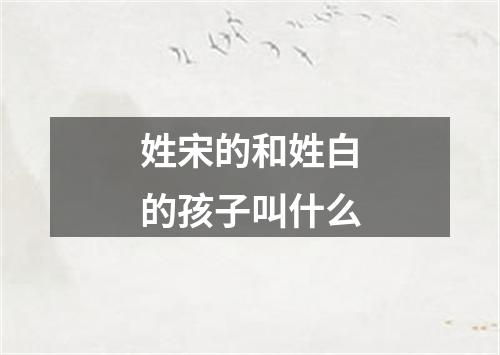 姓宋的和姓白的孩子叫什么