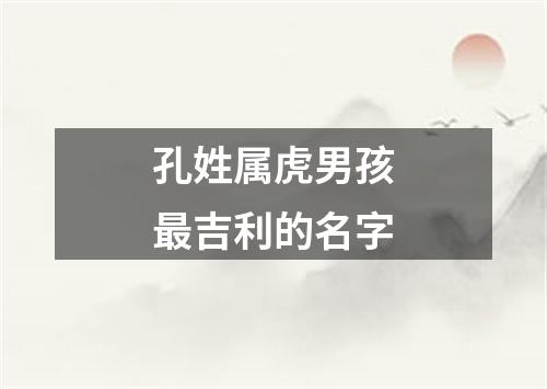 孔姓属虎男孩最吉利的名字