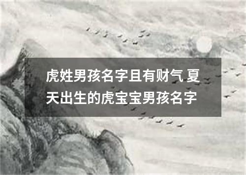 虎姓男孩名字且有财气 夏天出生的虎宝宝男孩名字