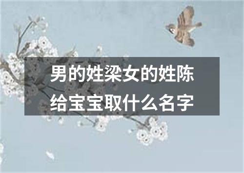 男的姓梁女的姓陈给宝宝取什么名字