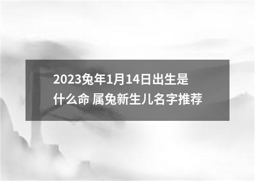 2023兔年1月14日出生是什么命 属兔新生儿名字推荐