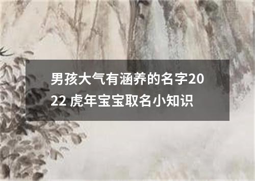 男孩大气有涵养的名字2022 虎年宝宝取名小知识