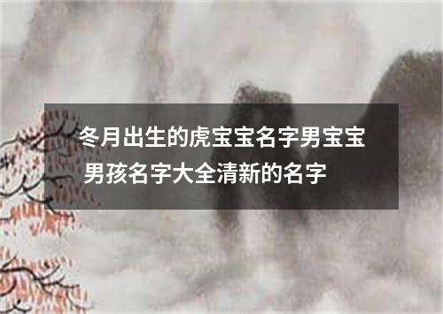 冬月出生的虎宝宝名字男宝宝 男孩名字大全清新的名字