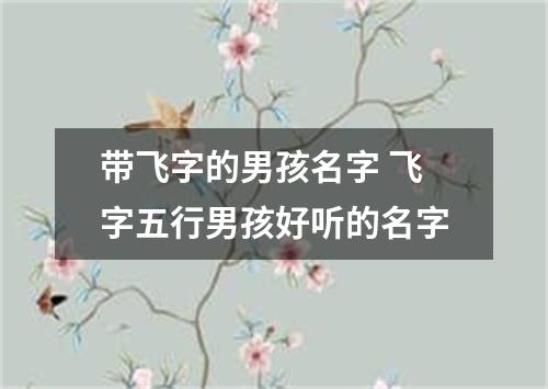 带飞字的男孩名字 飞字五行男孩好听的名字