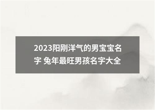 2023阳刚洋气的男宝宝名字 兔年最旺男孩名字大全
