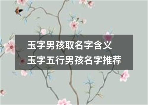 玉字男孩取名字含义 玉字五行男孩名字推荐