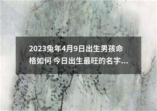 2023兔年4月9日出生男孩命格如何 今日出生最旺的名字推荐