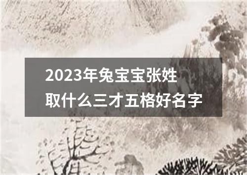 2023年兔宝宝张姓取什么三才五格好名字
