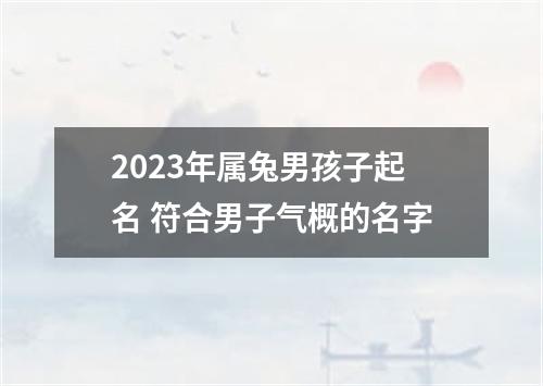 2023年属兔男孩子起名 符合男子气概的名字