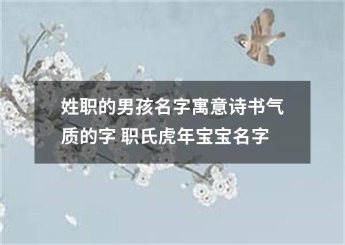 姓职的男孩名字寓意诗书气质的字 职氏虎年宝宝名字