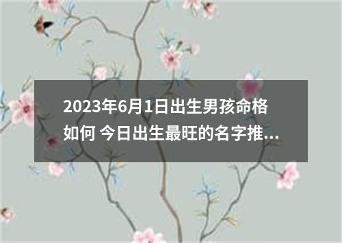 2023年6月1日出生男孩命格如何 今日出生最旺的名字推荐