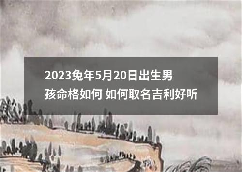 2023兔年5月20日出生男孩命格如何 如何取名吉利好听