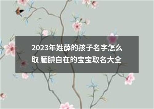2023年姓薛的孩子名字怎么取 腼腆自在的宝宝取名大全