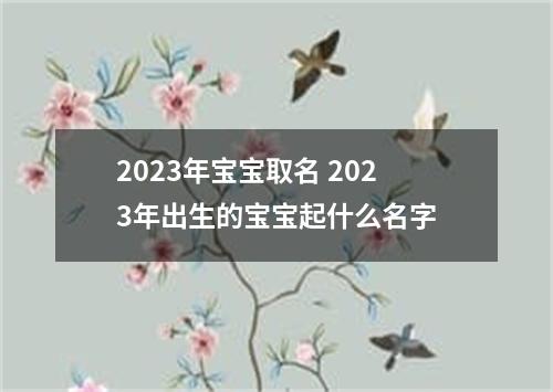 2023年宝宝取名 2023年出生的宝宝起什么名字