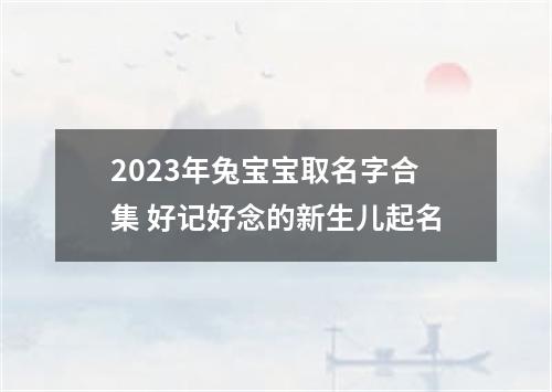 2023年兔宝宝取名字合集 好记好念的新生儿起名